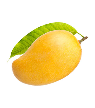 Mango-img Aahanti Exim